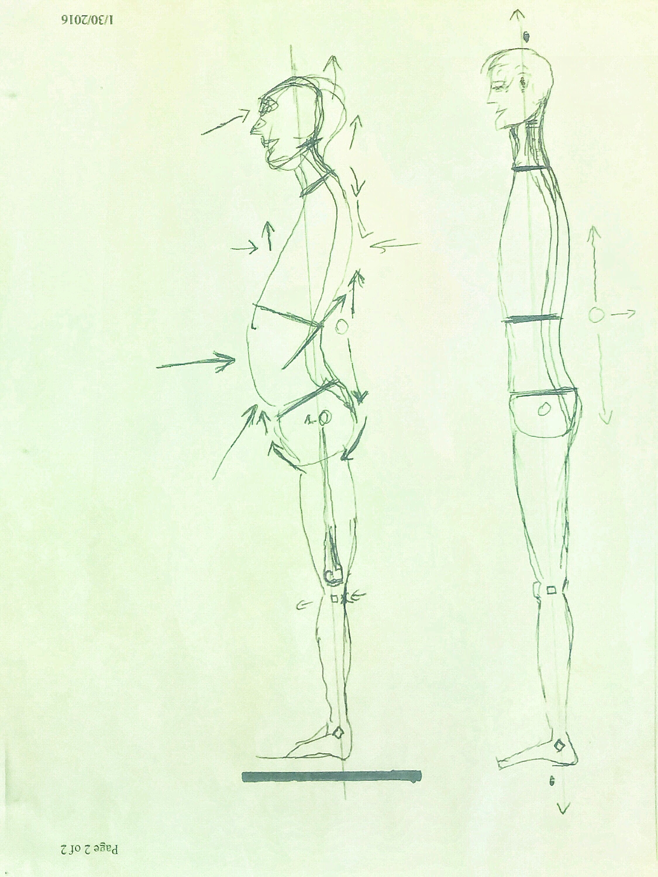 Standing postural correction arrows — compressed posture vs. expanded target posture
