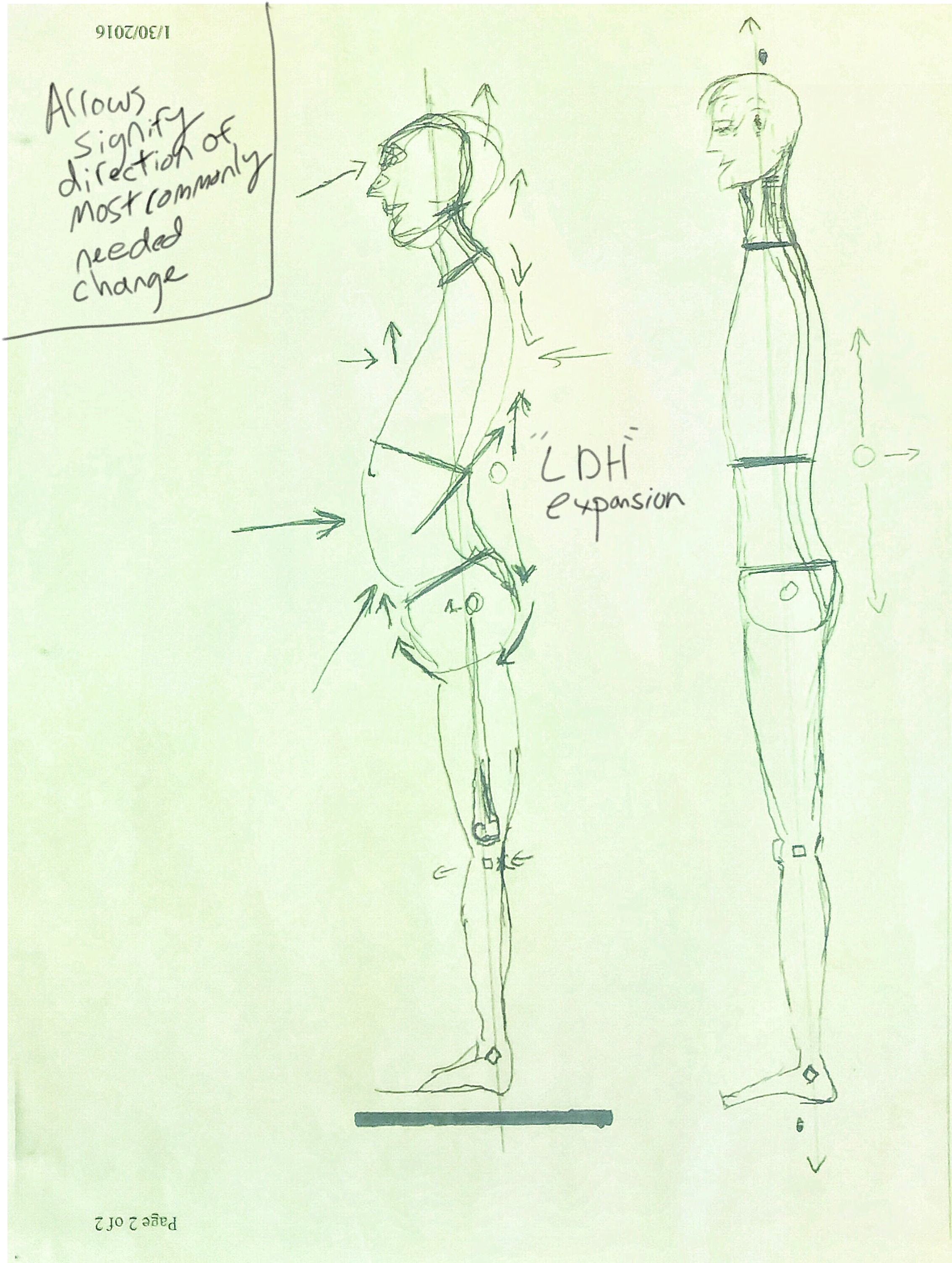 Postural correction arrows — direction of needed change with LDH expansion