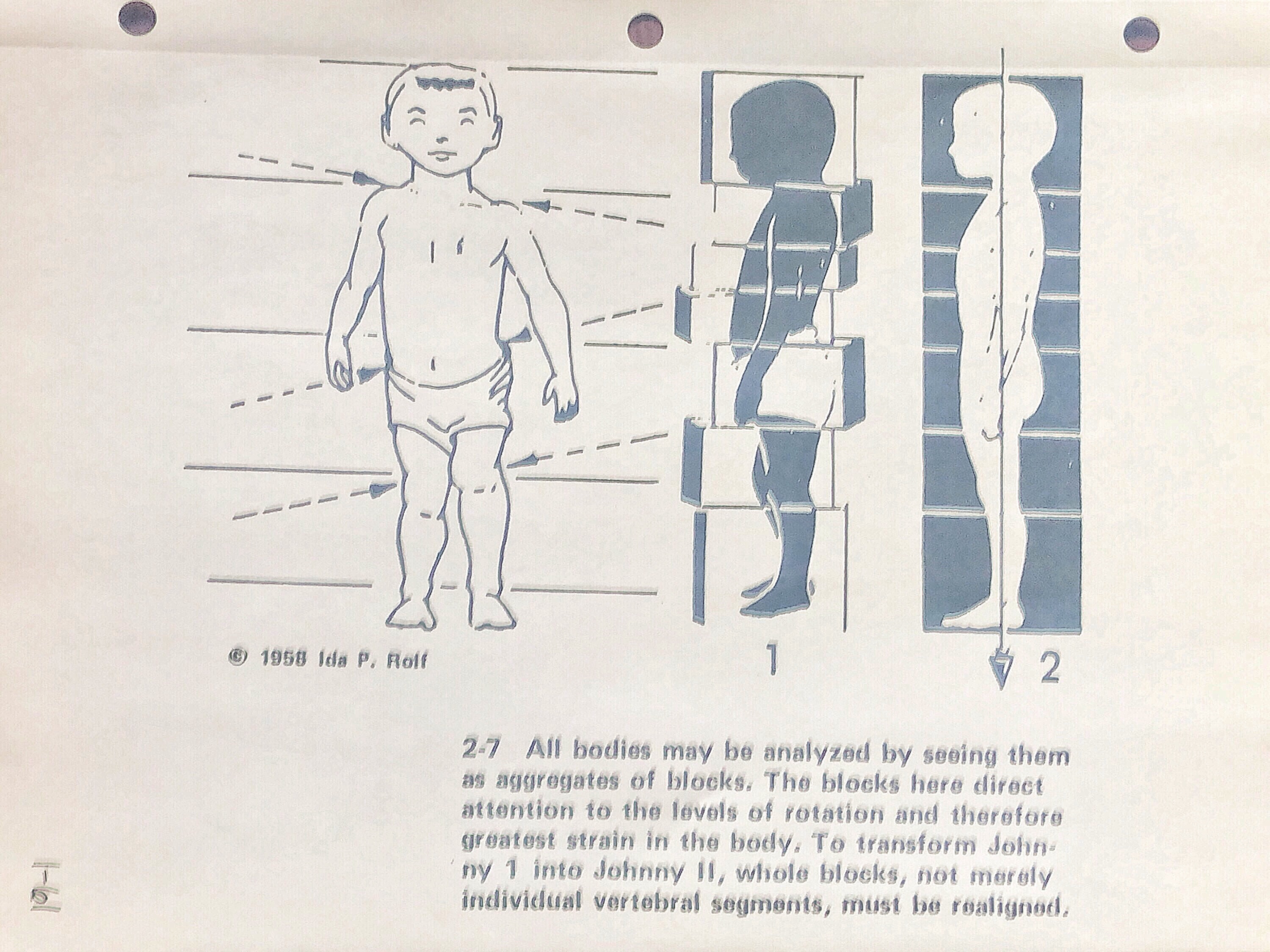 Ida P. Rolf body alignment diagram — body as stacked blocks