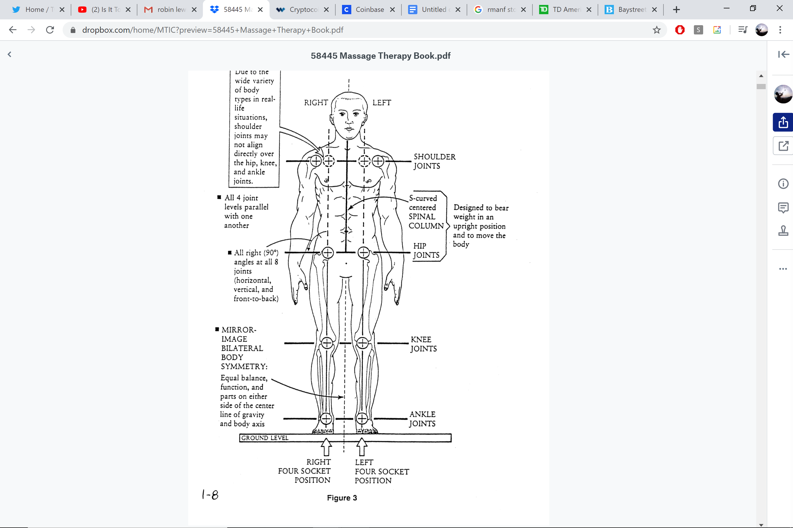 Four socket position — all joint levels parallel, bilateral symmetry