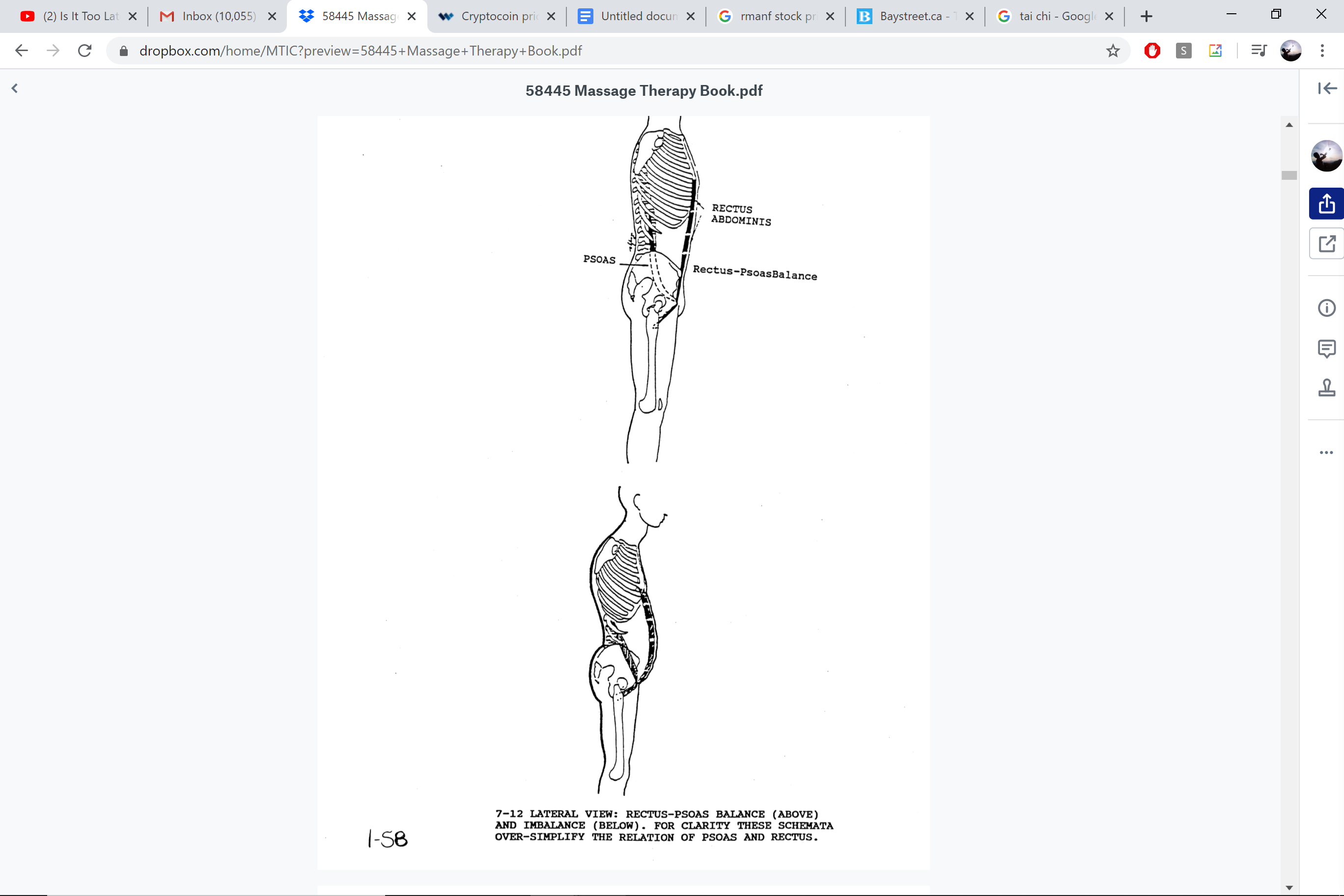 Psoas and Rectus Abdominis balance and imbalance — lateral view