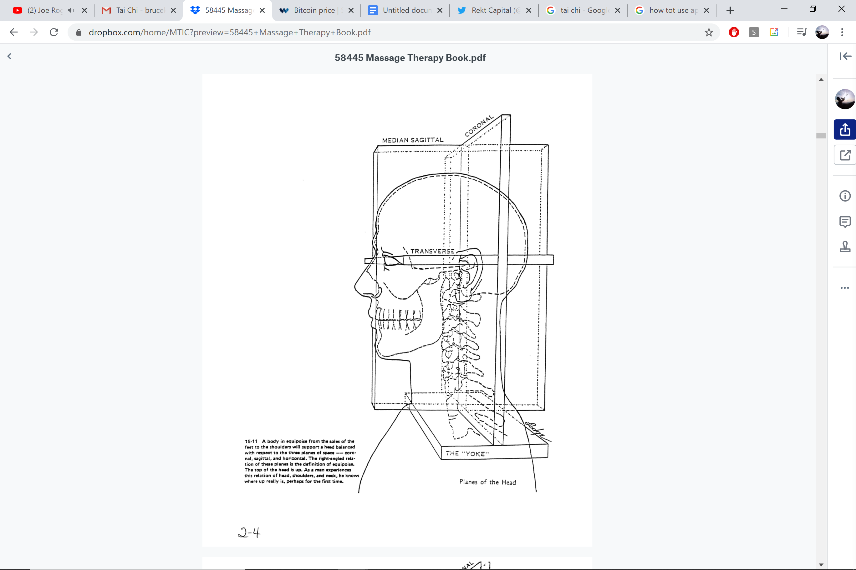 Planes of the head — coronal, sagittal, transverse — The Yoke