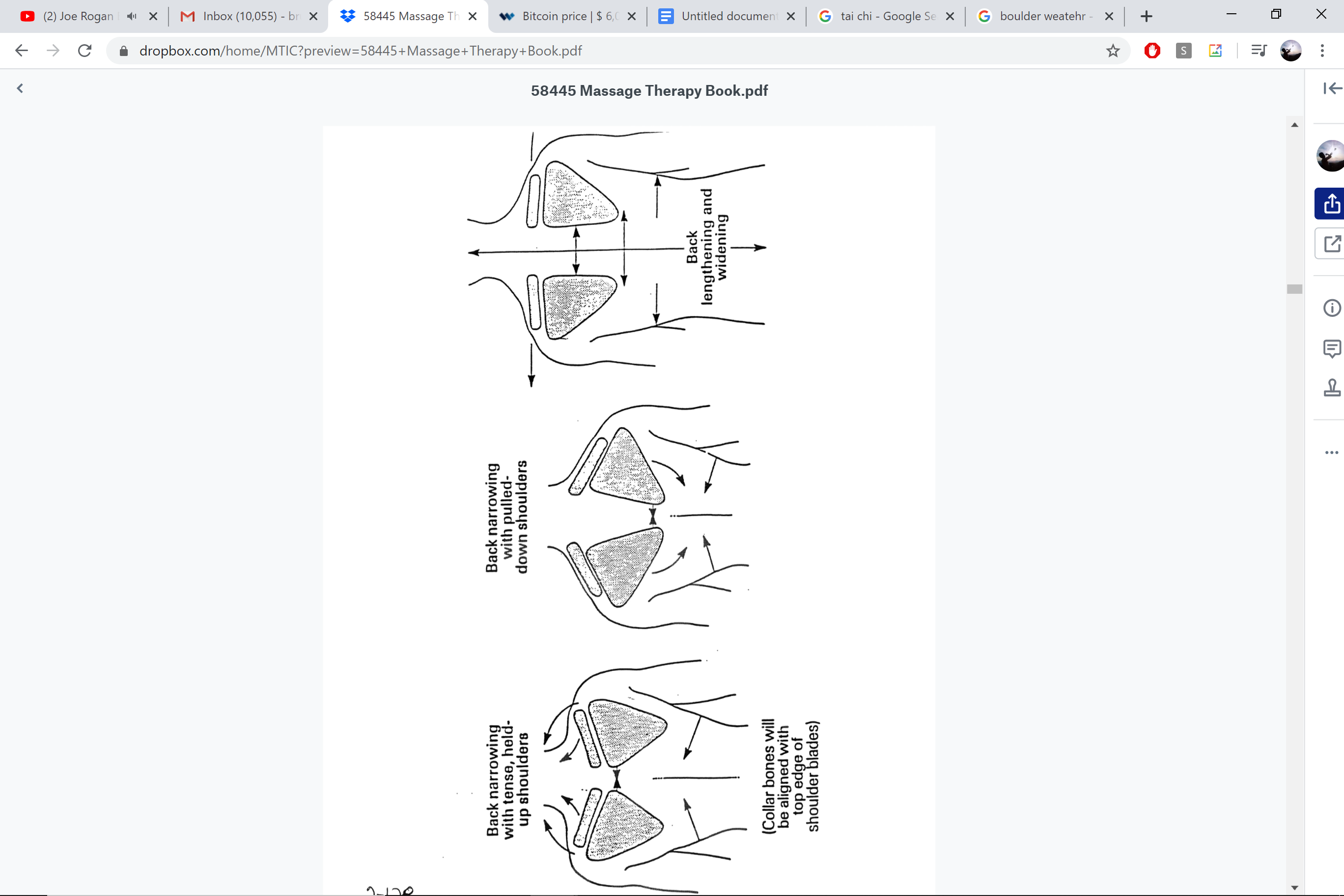 Back narrowing and widening — scapula position and shoulder alignment