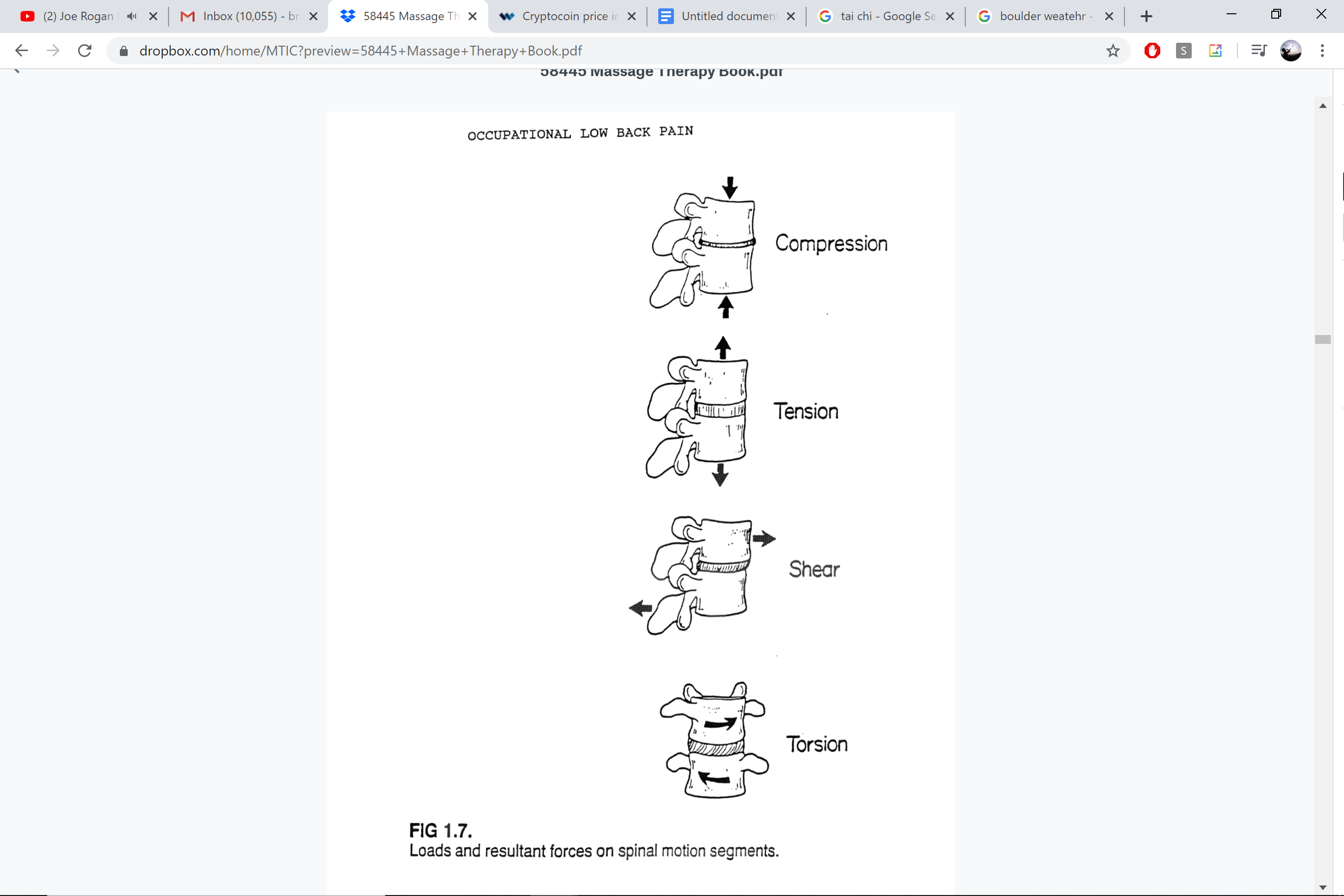 Spinal load forces — compression, tension, shear, torsion