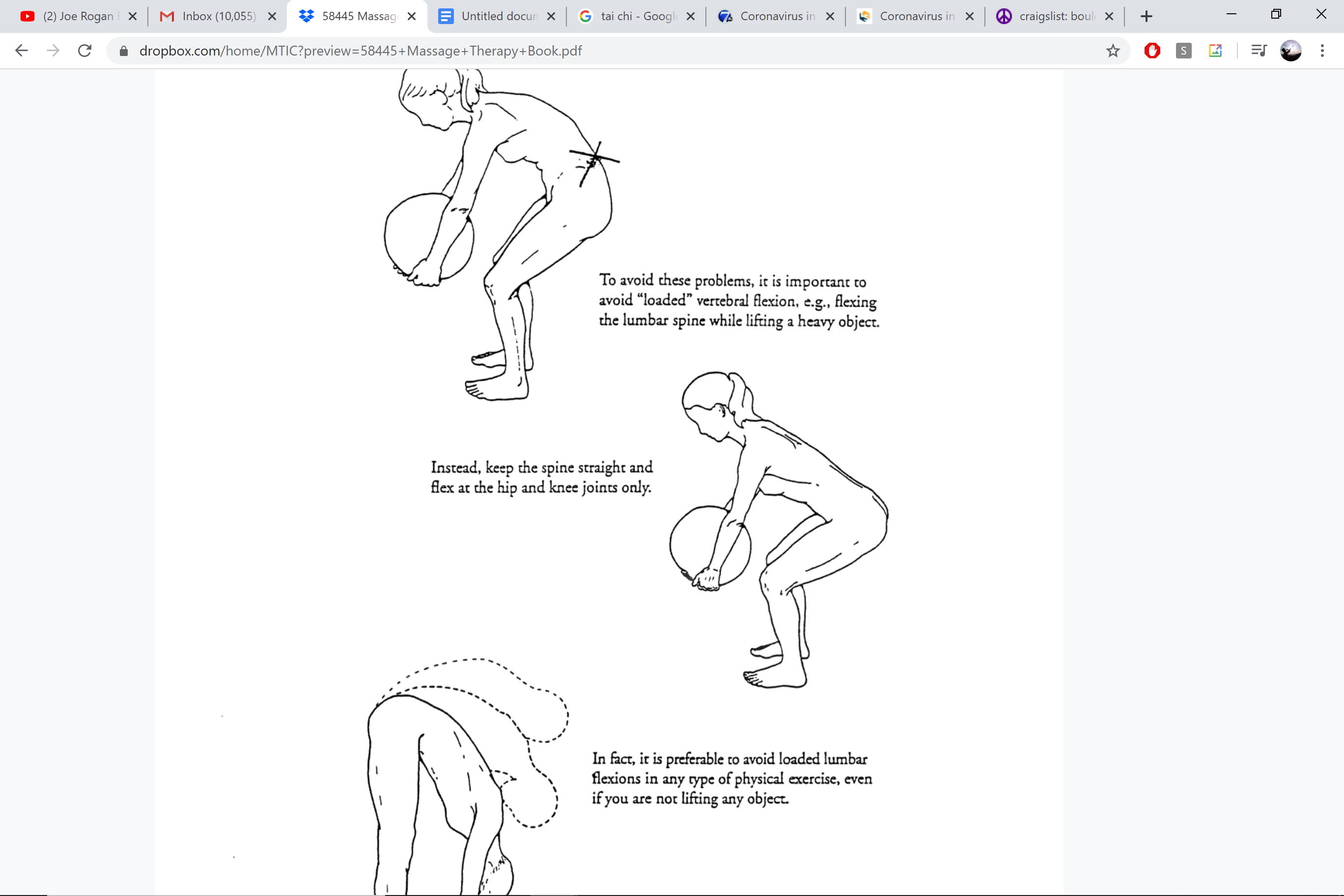 Safe lifting — avoid loaded lumbar flexion
