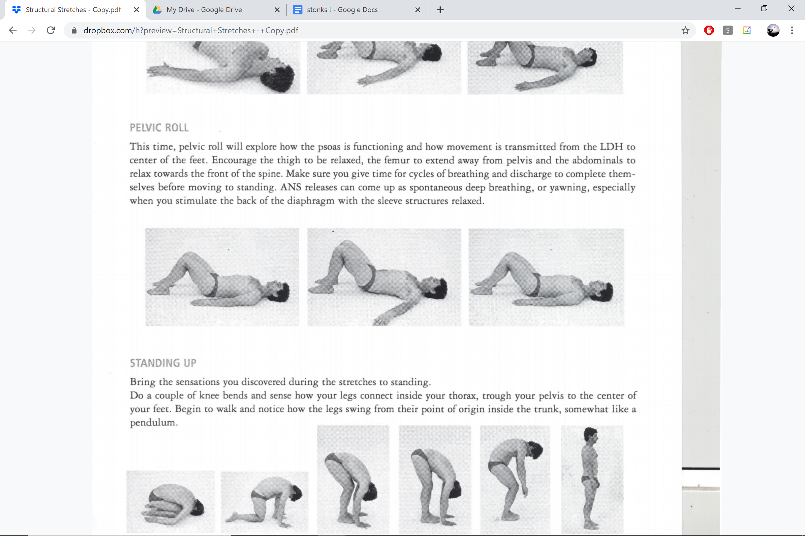 Structural stretches — pelvic roll sequence and standing up integration
